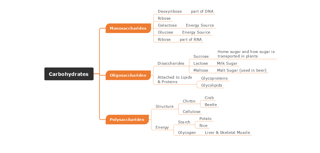 Carbohydrates Concept Map