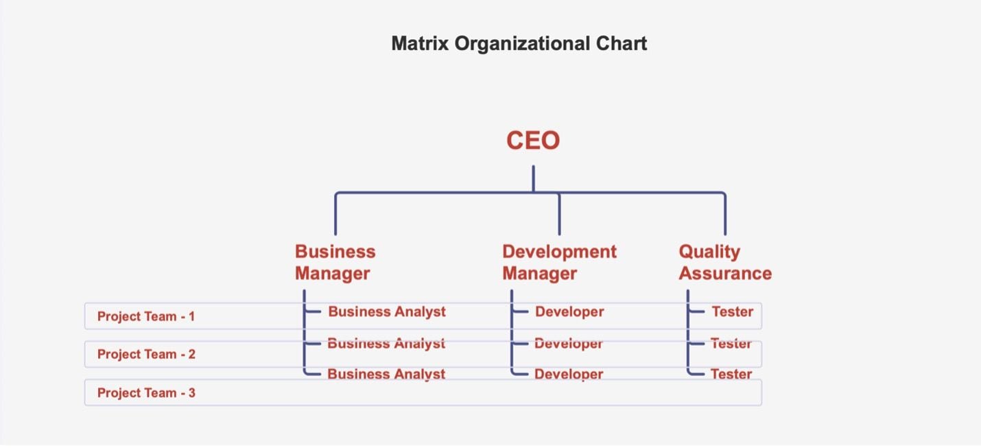 Organigrama matricial de desarrollo de negocio y control de calidad