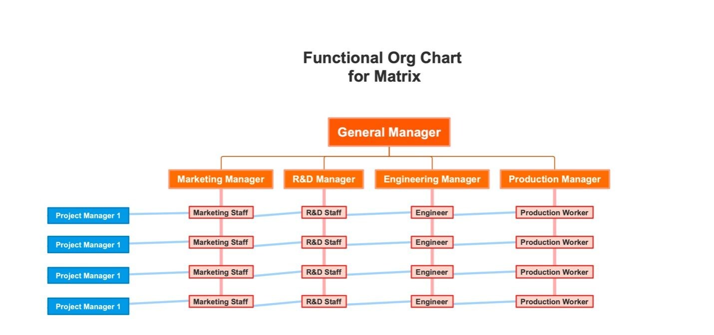 Matrix Organizational Chart Examples