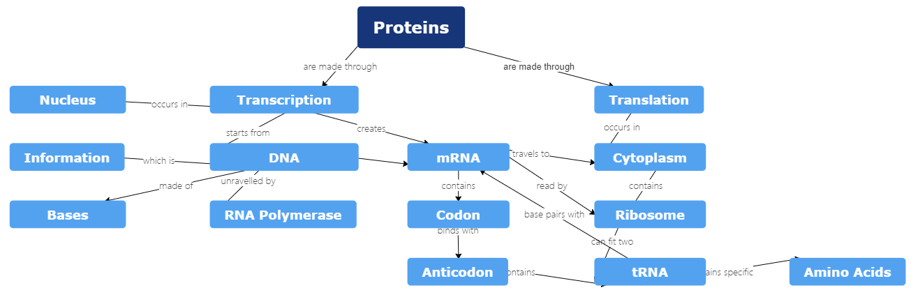 mapa conceptual de las proteínas