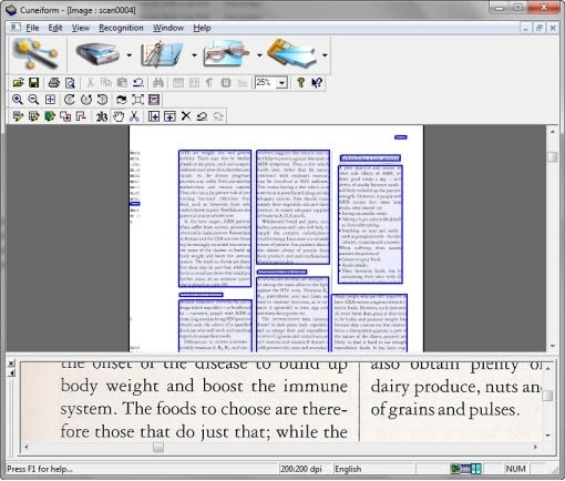 captura de pantalla del software cuneiforme