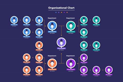 organizational chart with several colors