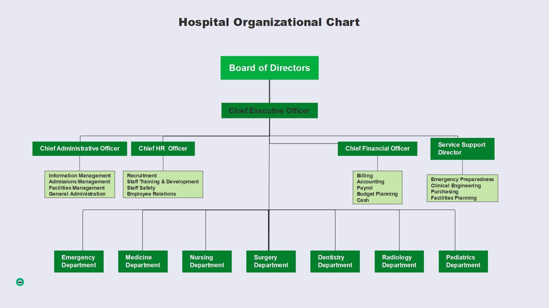 org chart of a hospital