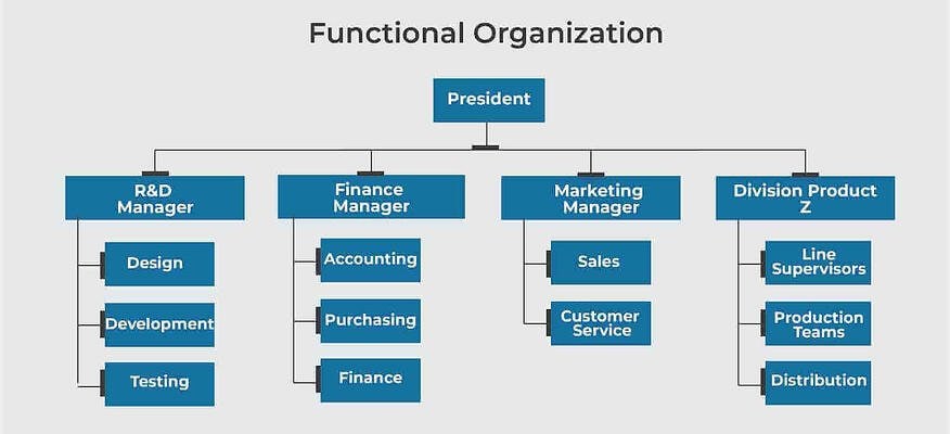 structure organisationnelle fonctionnelle