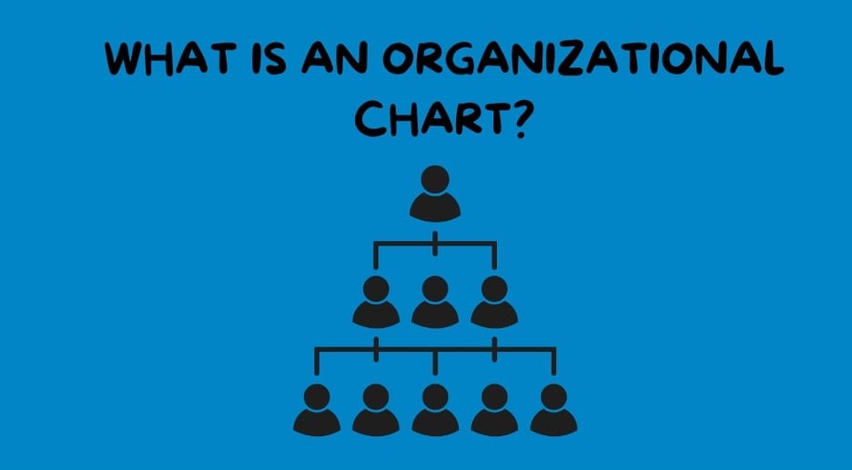 what is org chart