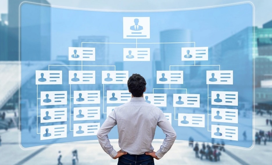 organizational chart