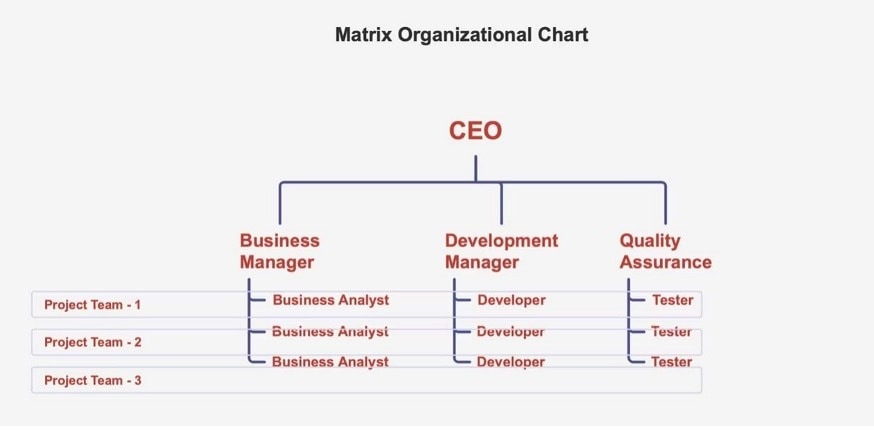 matrix structure template