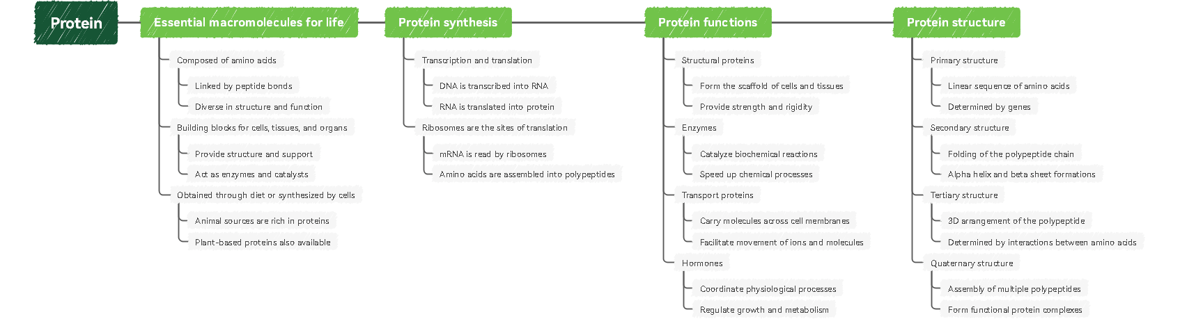 horizontal timeline template