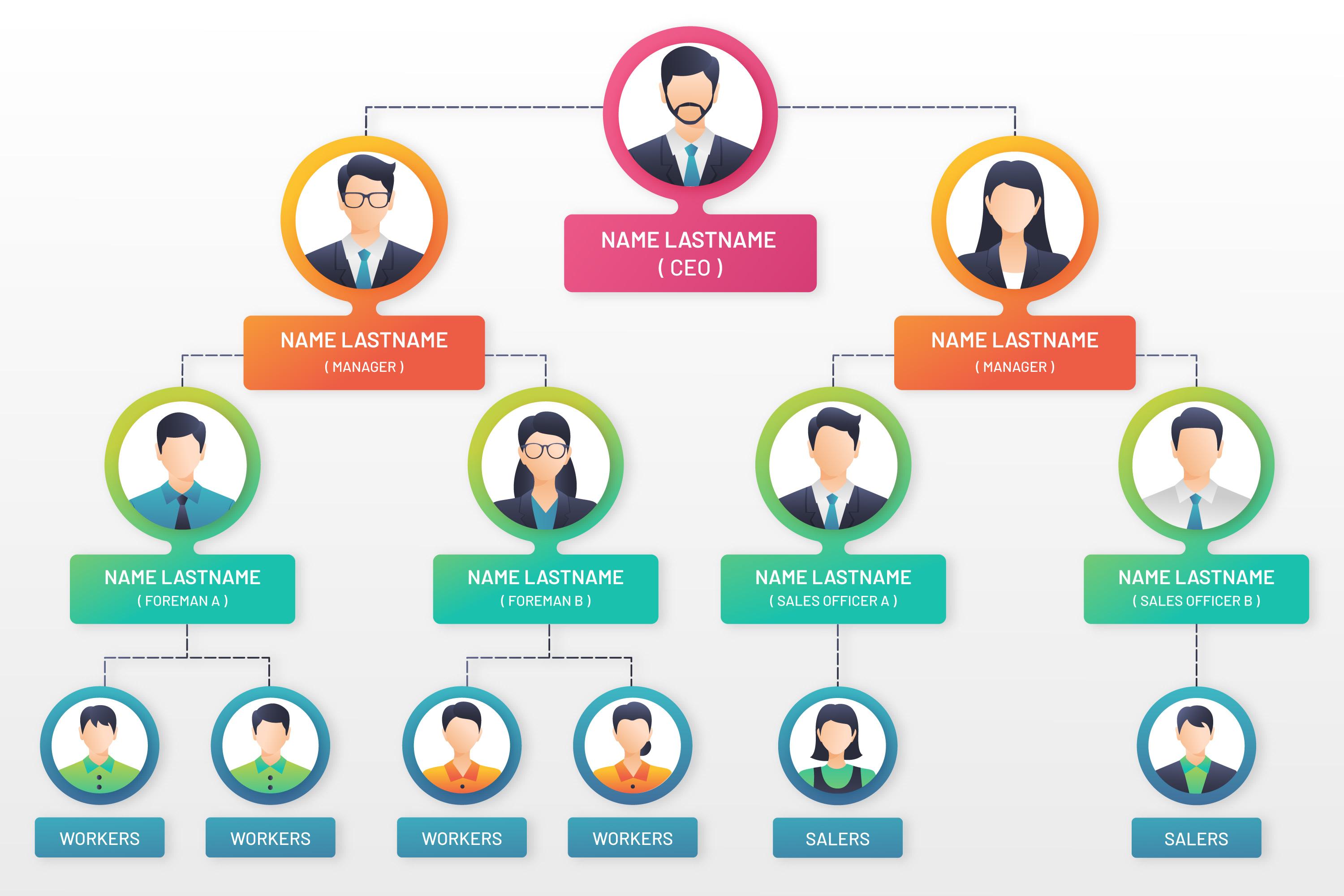 esempio di organigramma gerarchico