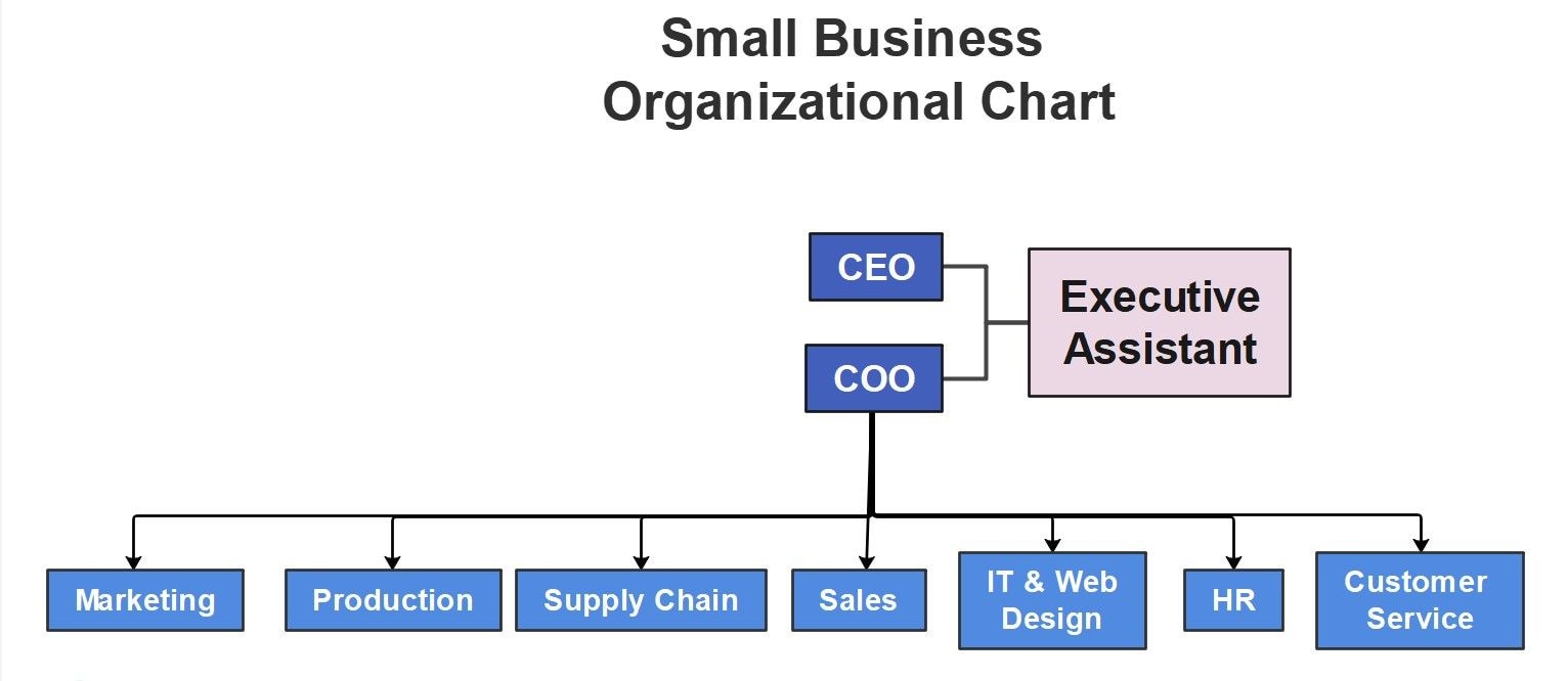 org chart example for a small businesses