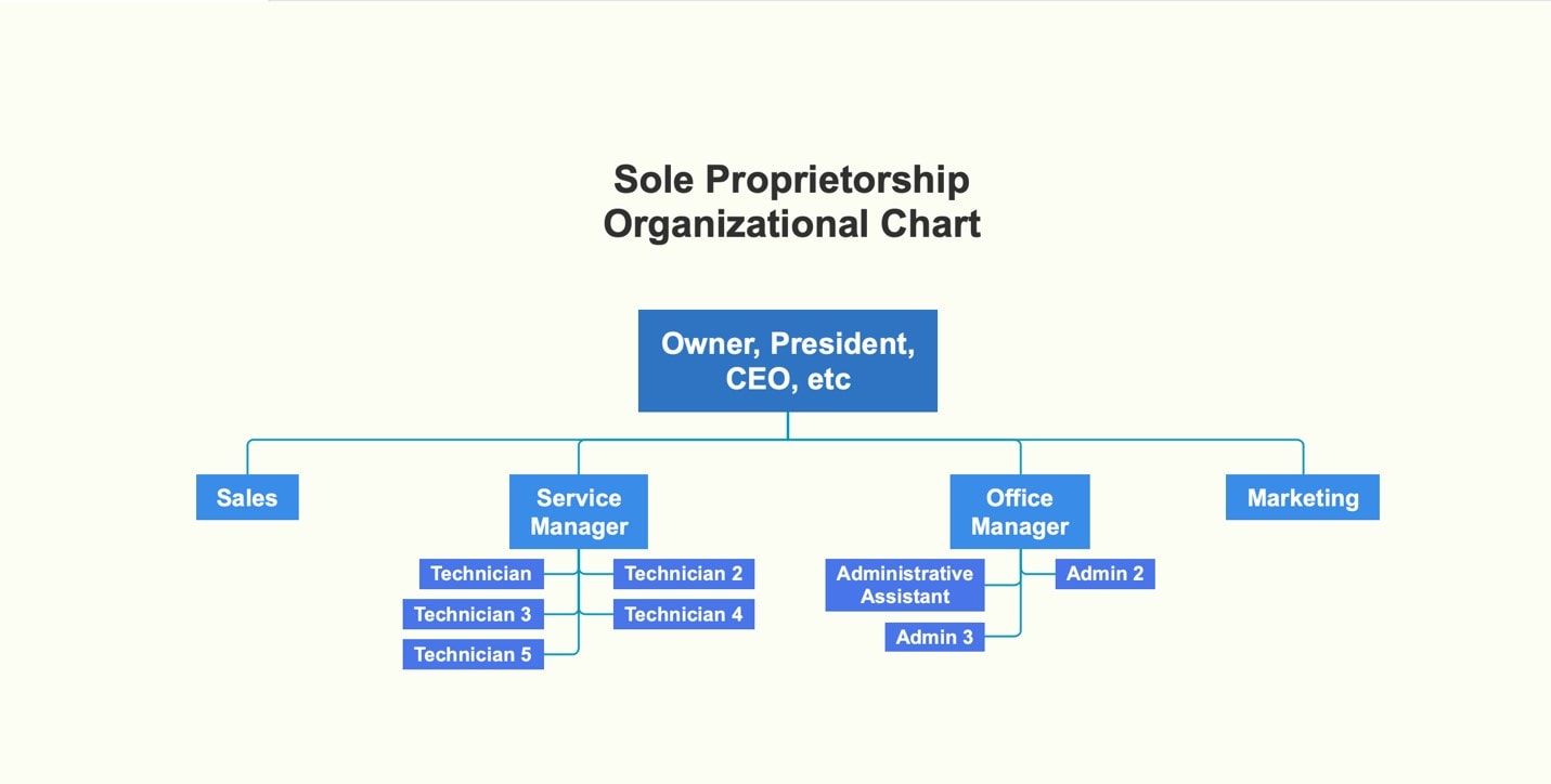 structure of a sole proprietorship organization