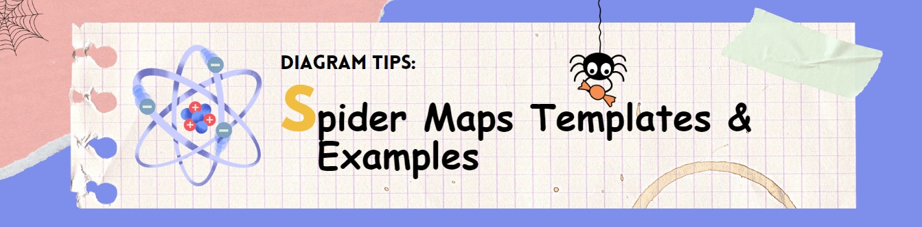 spider diagram examples