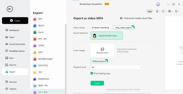 edrawmind play video export