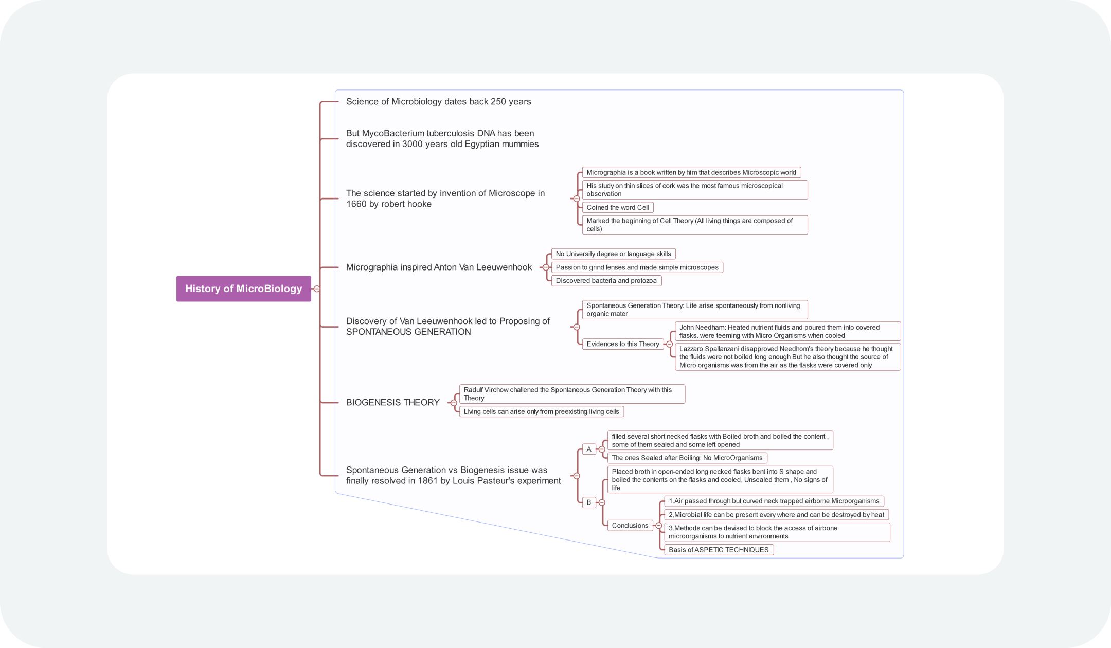 biological timeline type