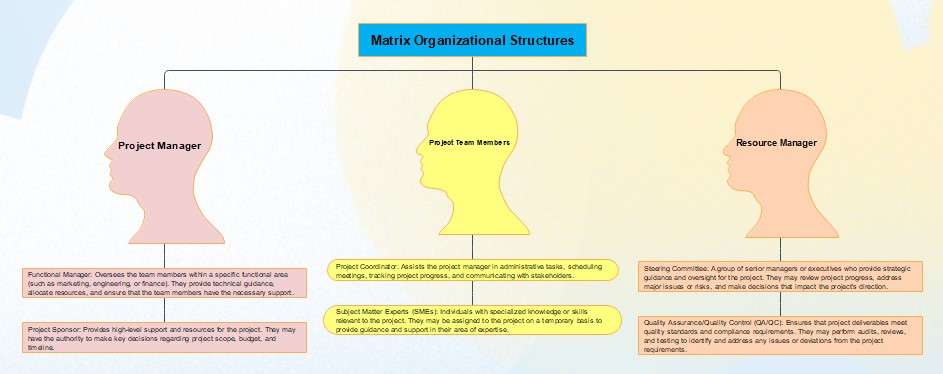 matrix organizational structures