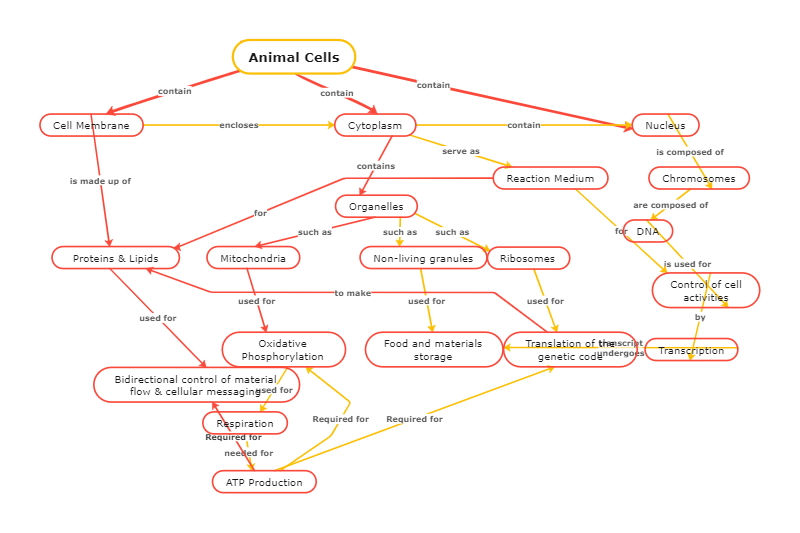 animal concept map template