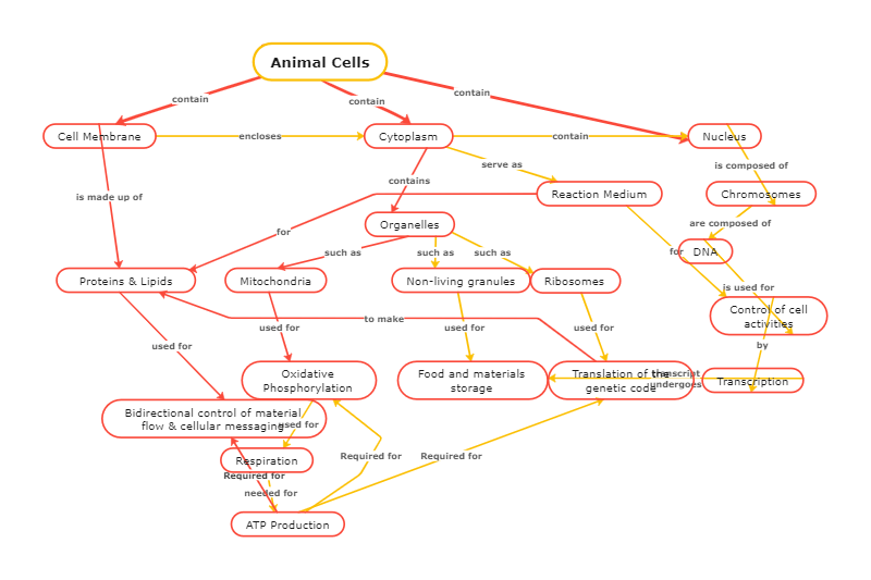 modelo de mapa conceitual de animais