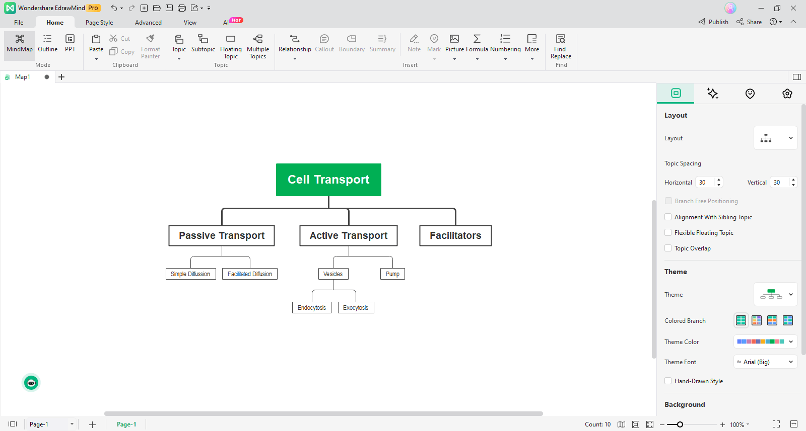 enter the information into your concept map