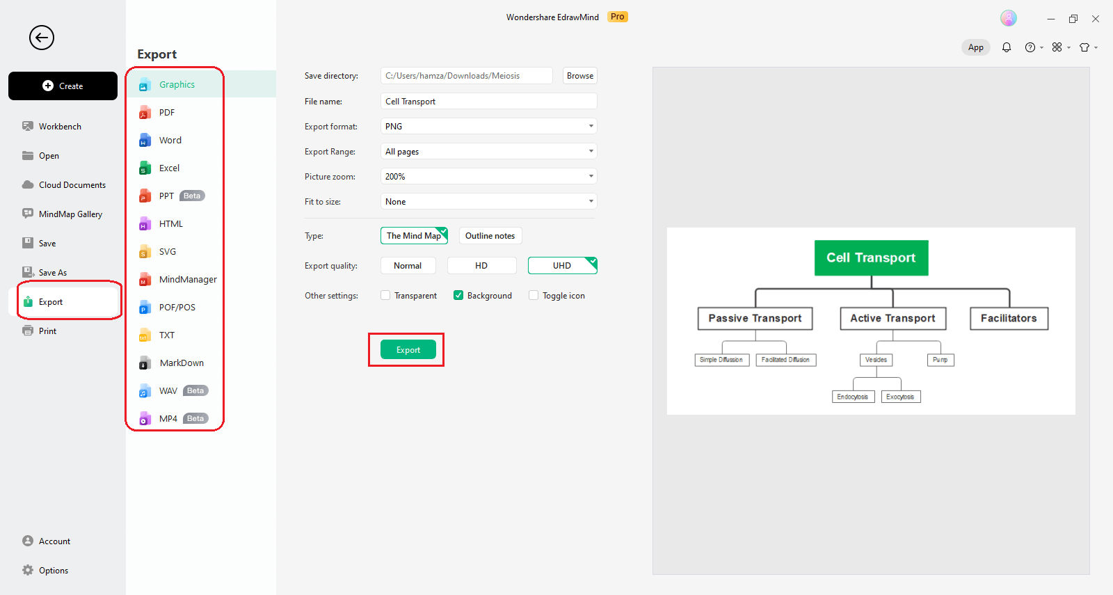 export the final concept map