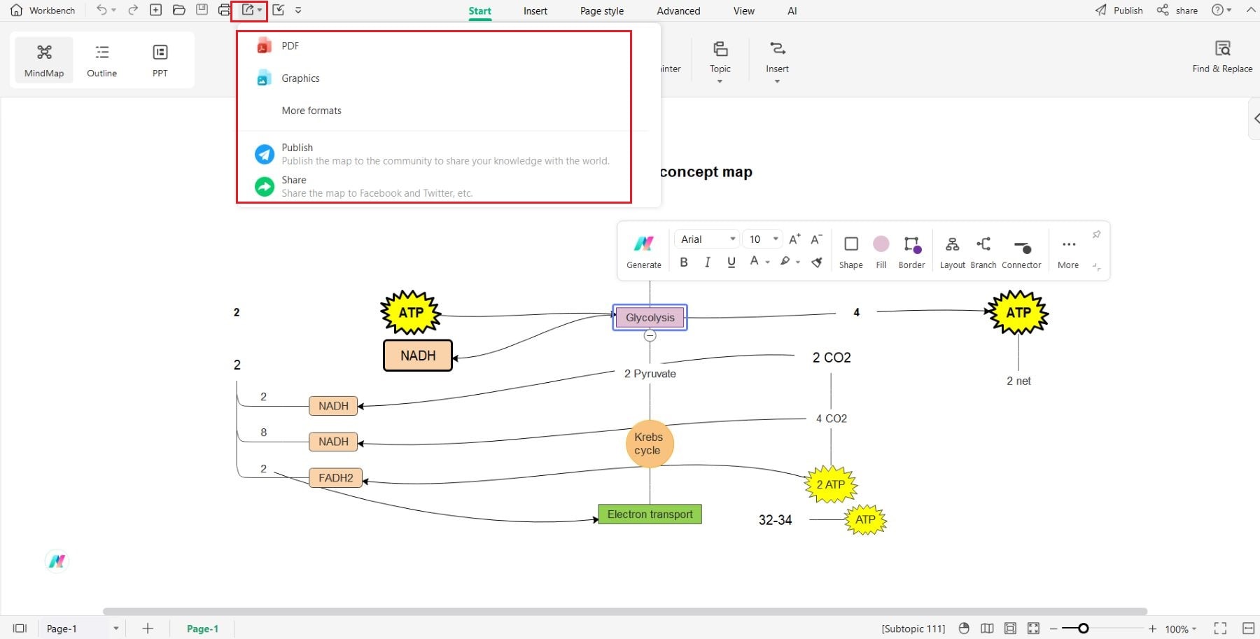 export options for cellular respiration concept map