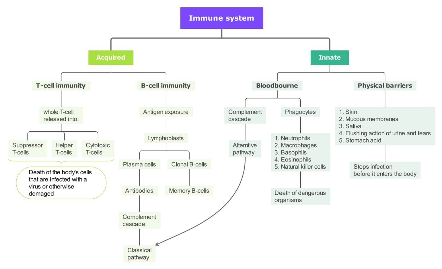 concept map examples for students