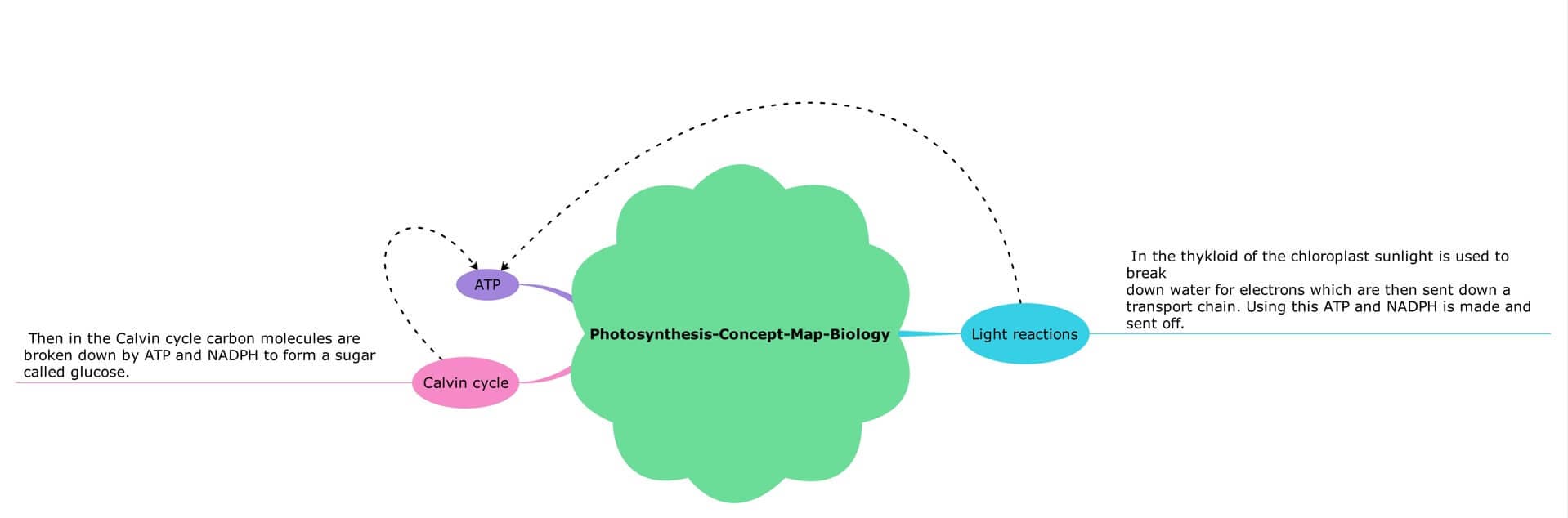 concept map examples for students