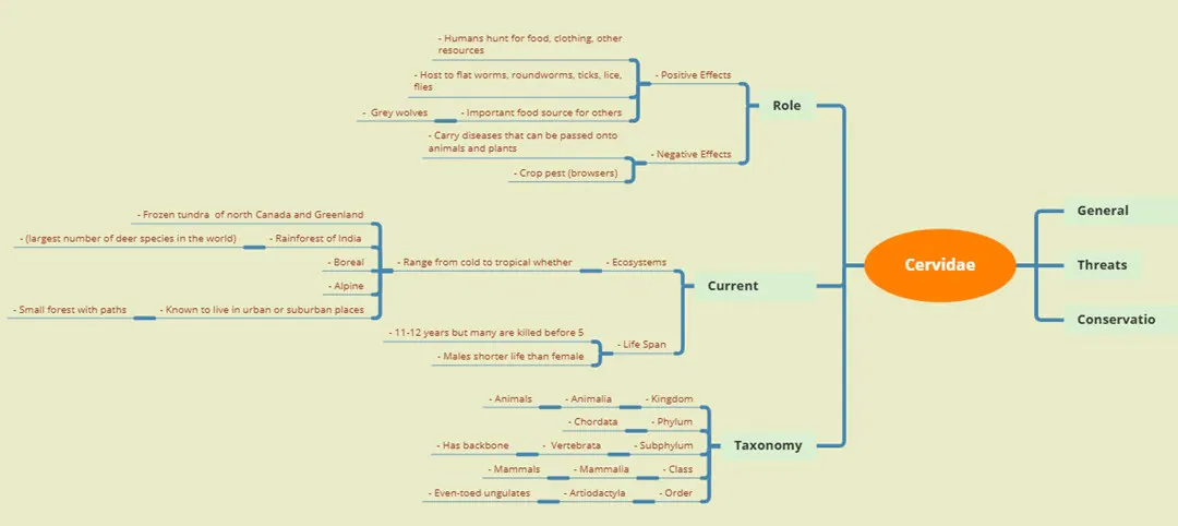 template of Cervidae family