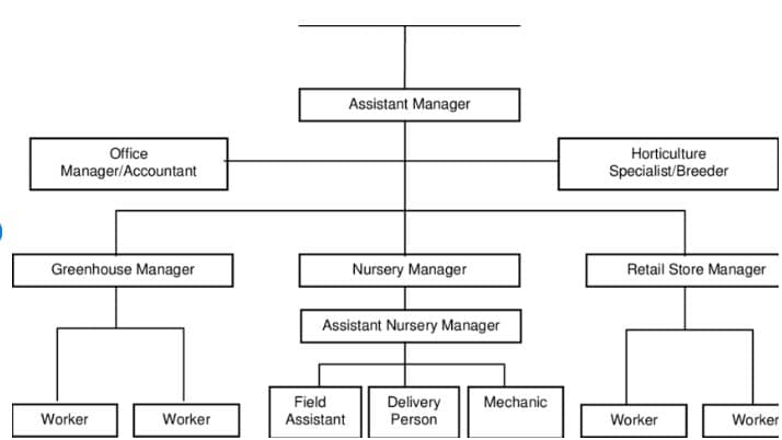 corporate office organizational chart