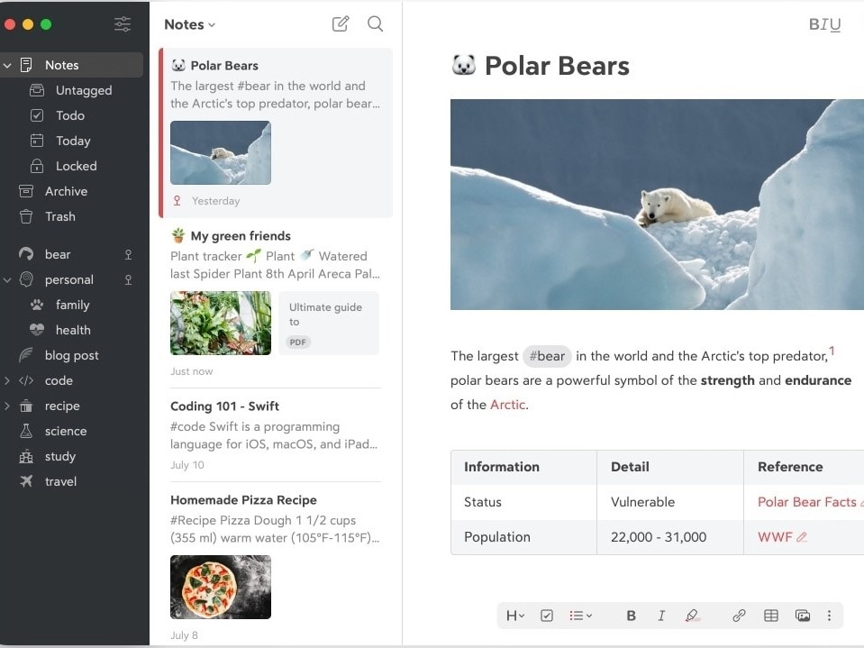 app interface for bear note app