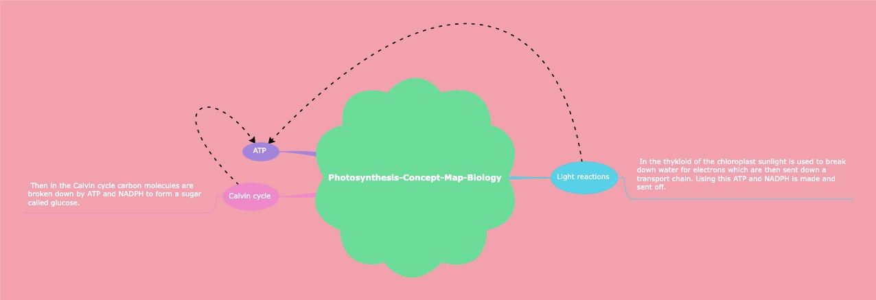 photosynthesis mind map