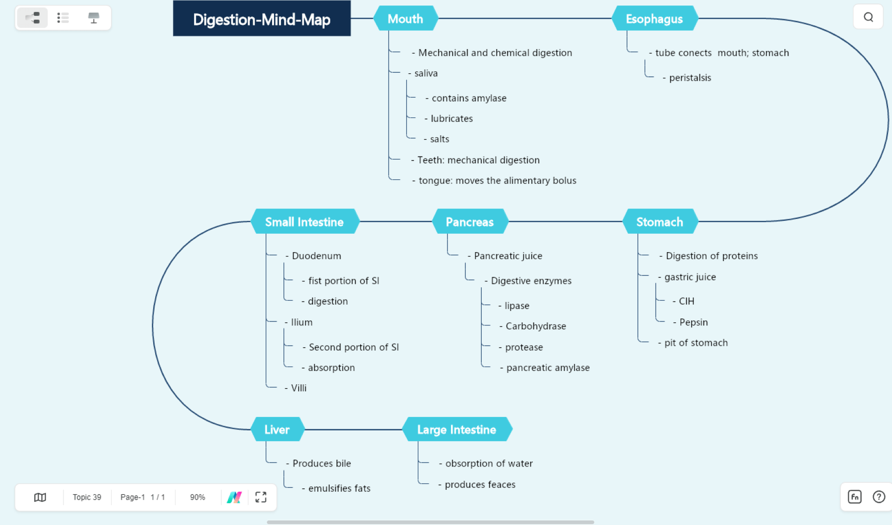 simple digestion mind map