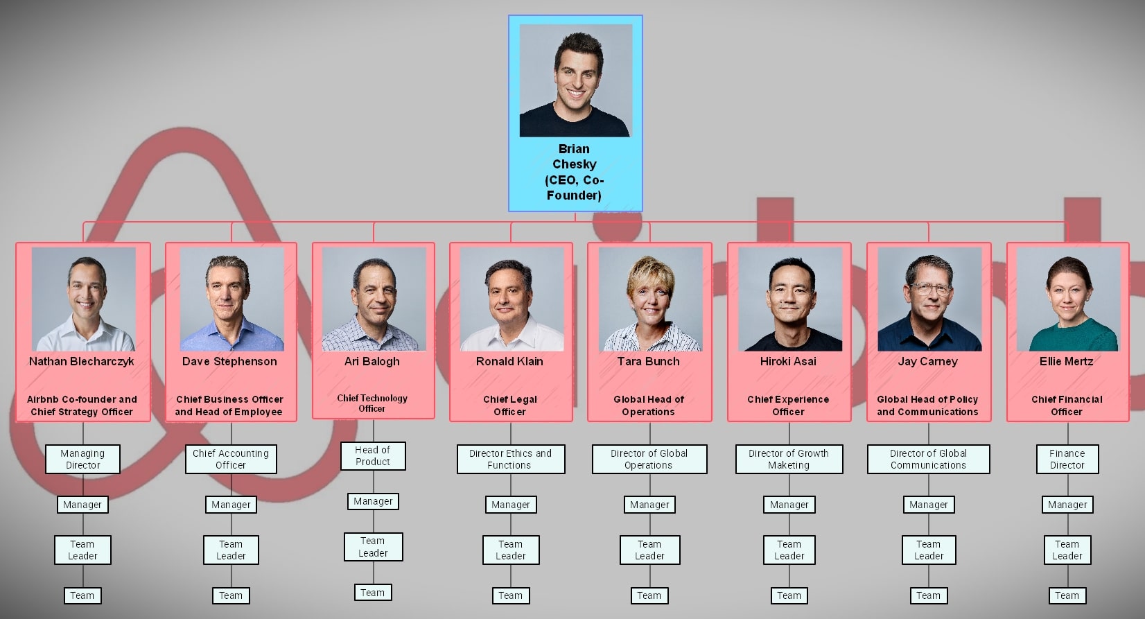 Airbnb-org-chart-airbnb org chart