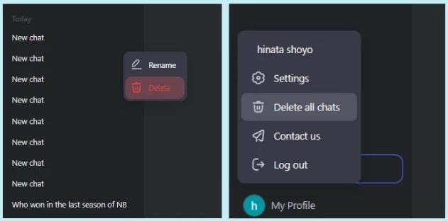 manage chats