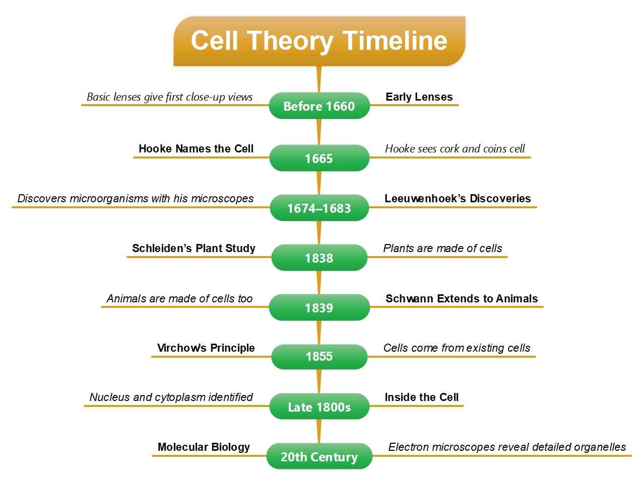 the complete cell theory timeline with all events