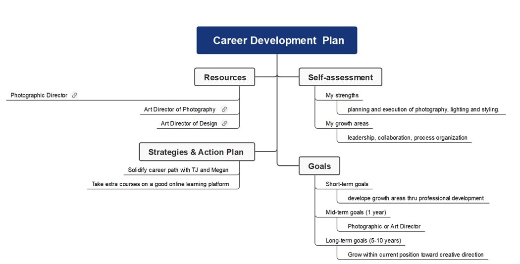 career plan diagram-career plan diagram
