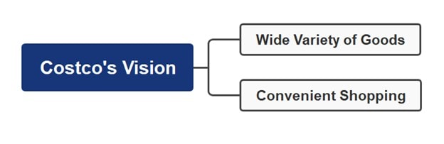 costco vision mind map