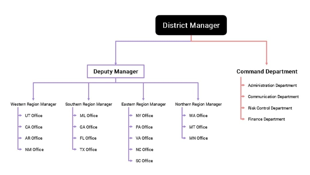adjust and organize branches in org chart
