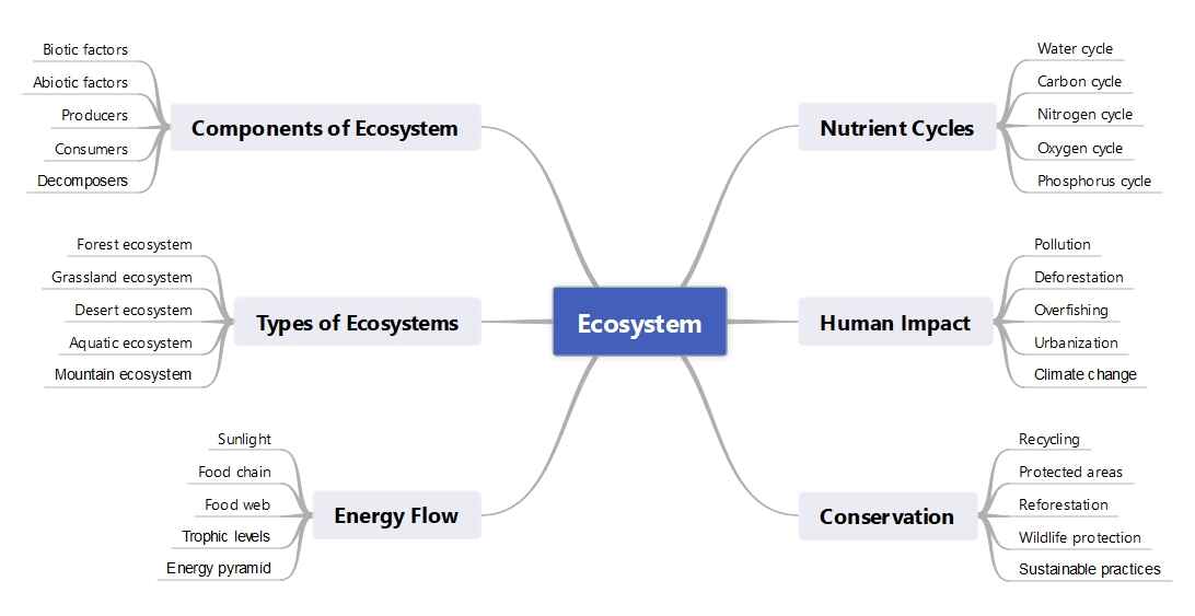 ecosystem mind map