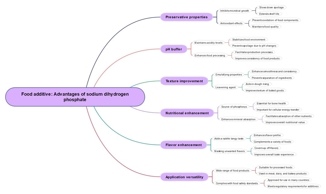 food additive advantages mind map-science