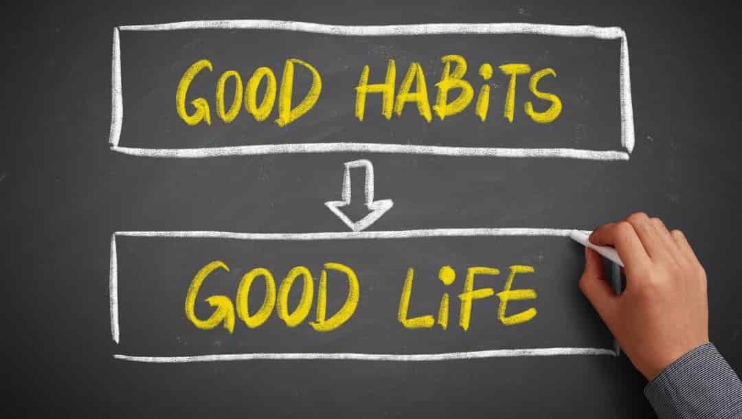 daily habits for successful freelance journey