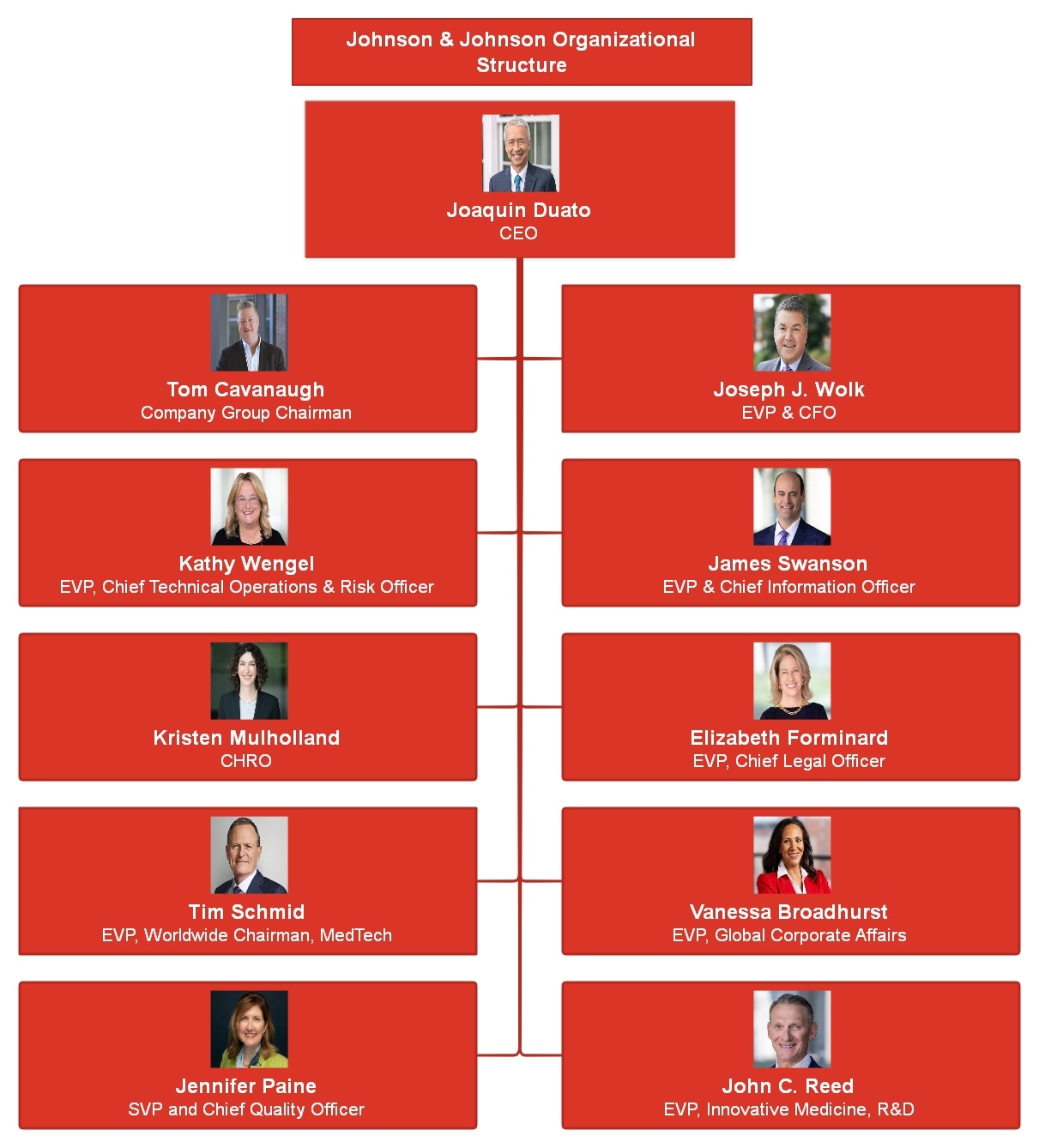 johnson and johnson org chart