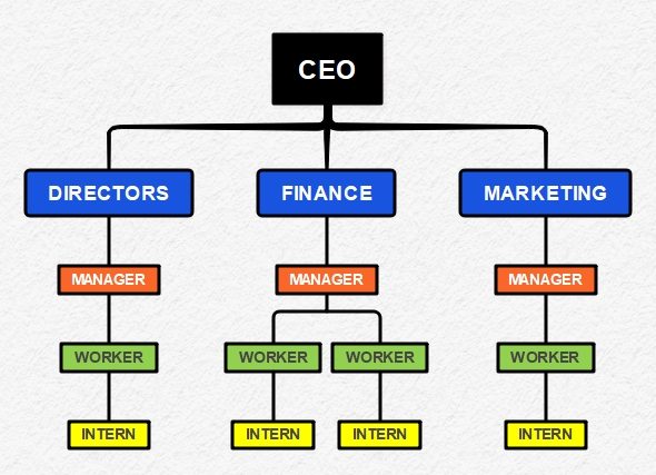 company org chart