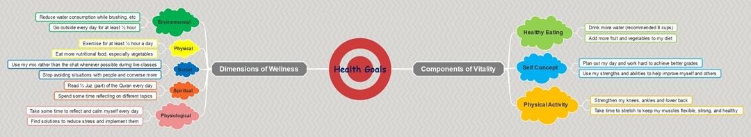 personal health and wellness mind map