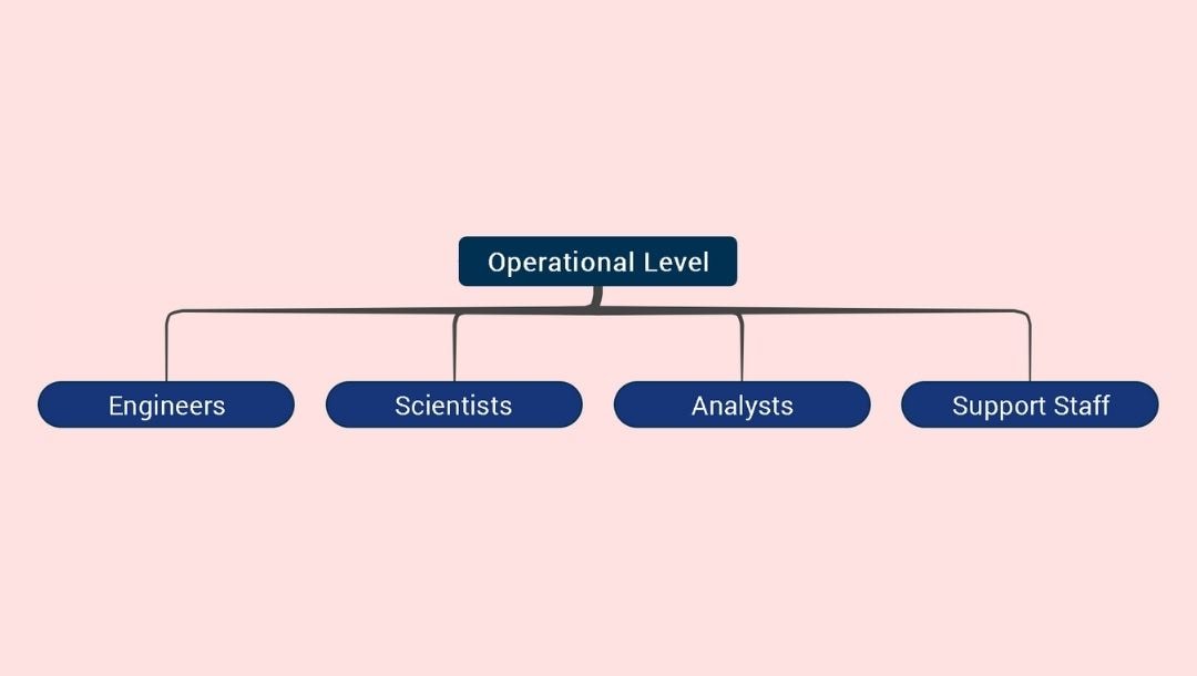 operational level roles