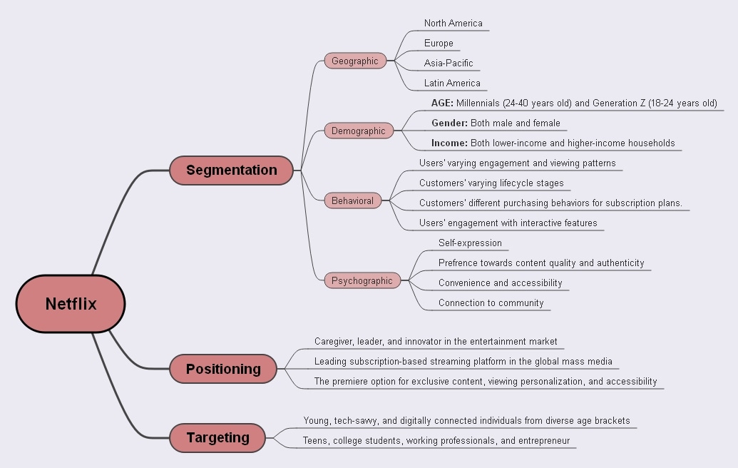 netflix segmentation targeting positioning