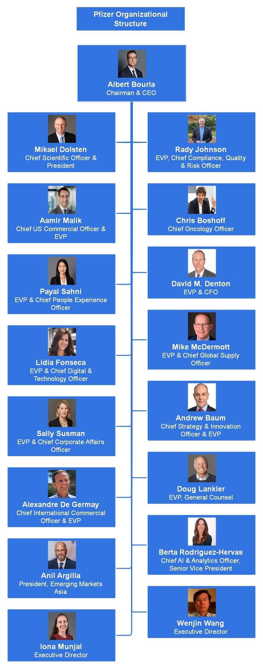 pfizer organizational chart