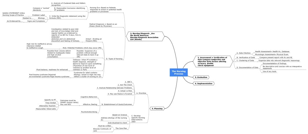 nursing process study plan