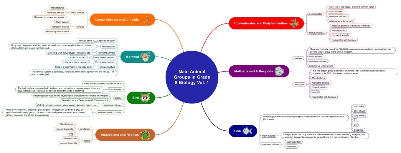animal groups summary