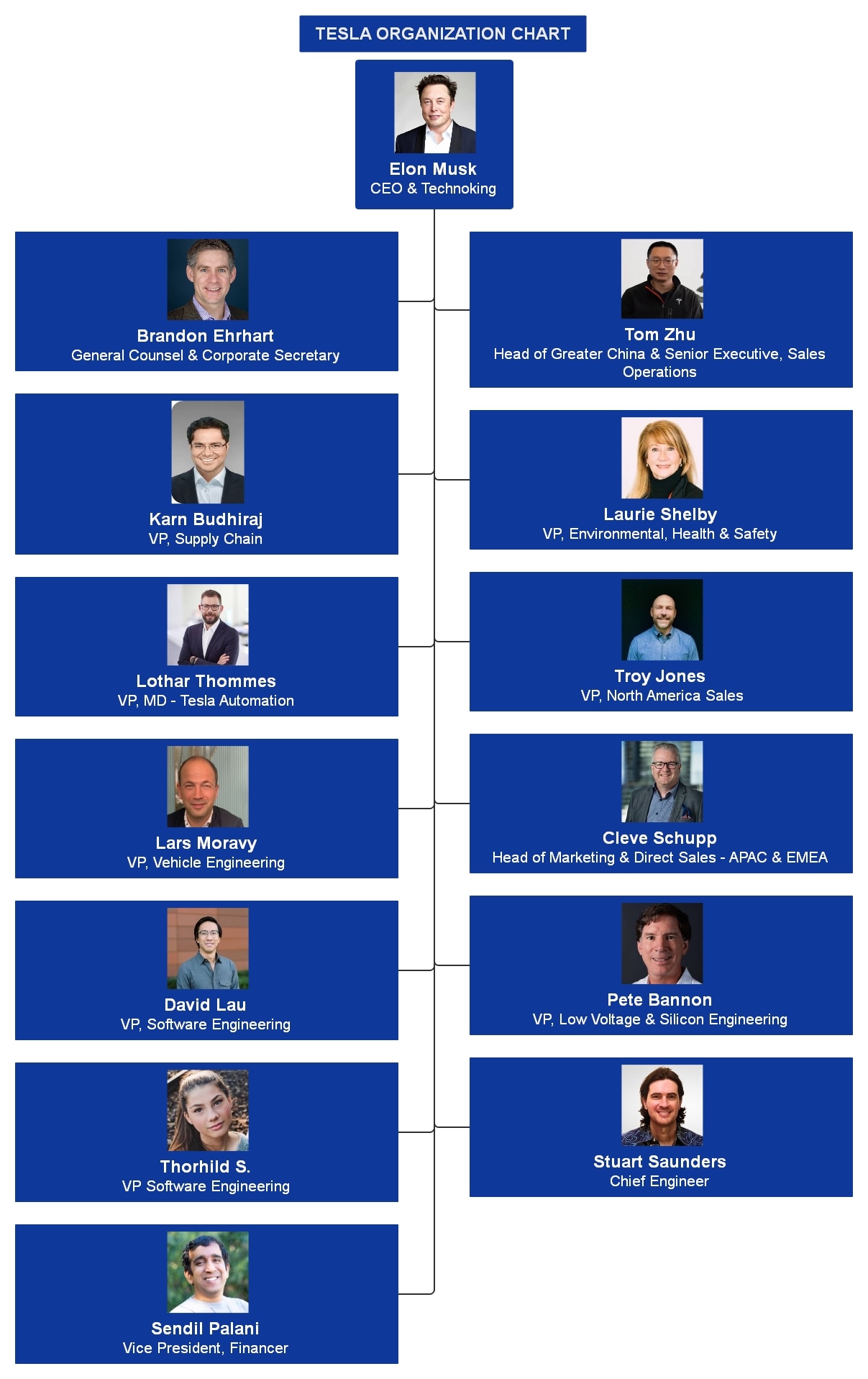 organizational chart of tesla