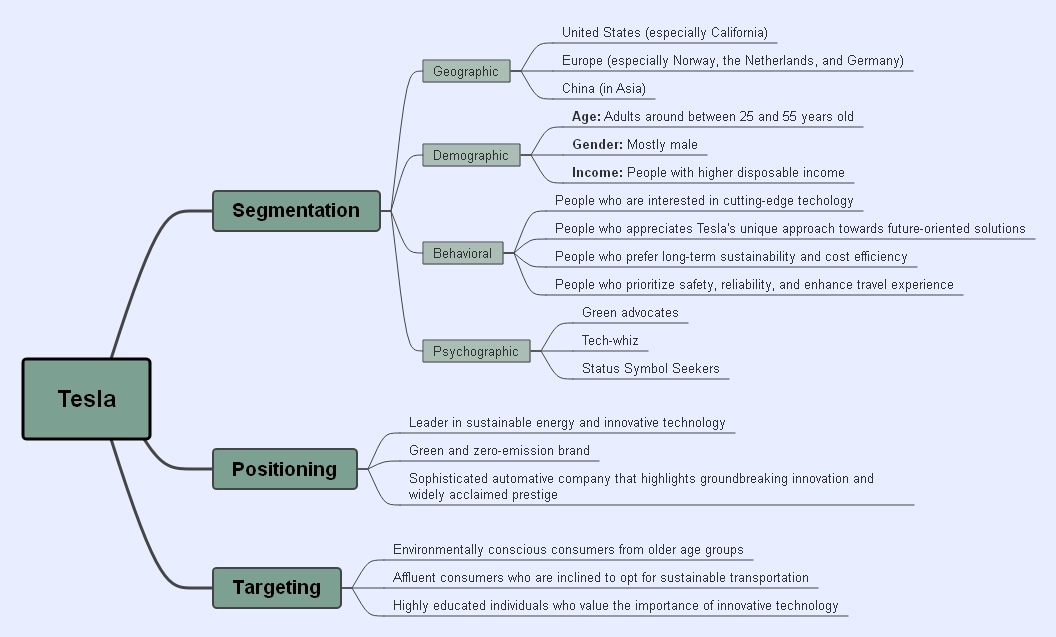 tesla segmentation, positioning, and targeting